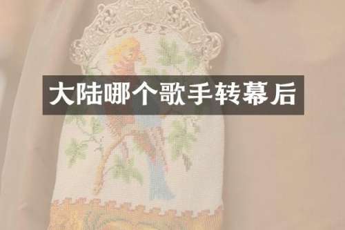 大陆哪个歌手转幕后