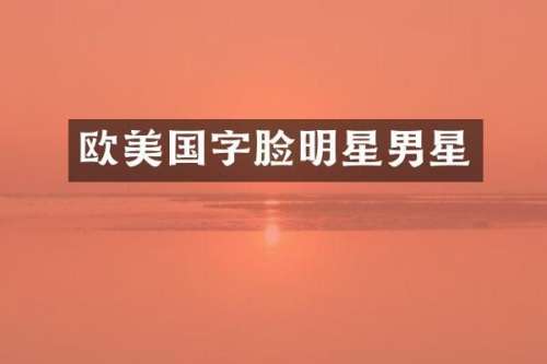 欧美国字脸明星男星