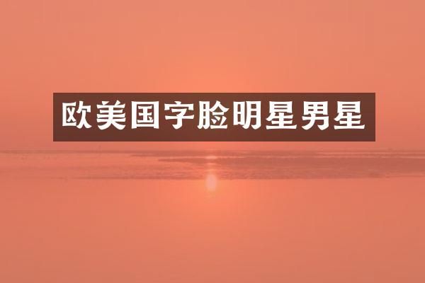 欧美国字脸明星男星