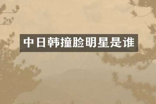 中日韩撞脸明星是谁