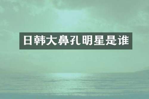 日韩大鼻孔明星是谁