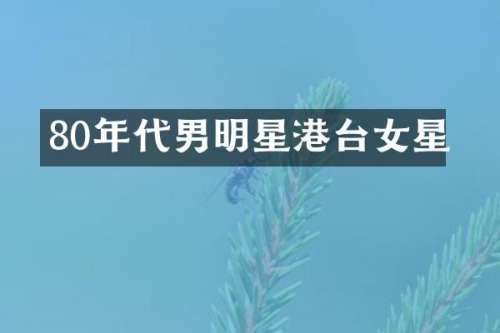 80年代男明星港台女星