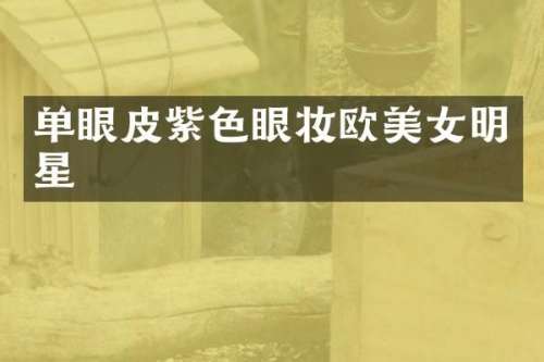 单眼皮紫色眼妆欧明星