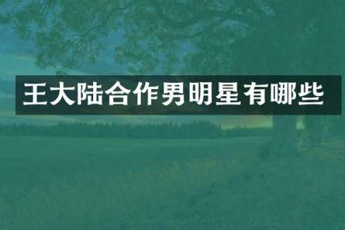 王大陆合作男明星有哪些