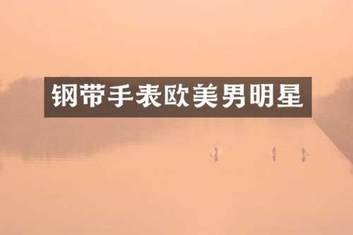 钢带手表欧美男明星