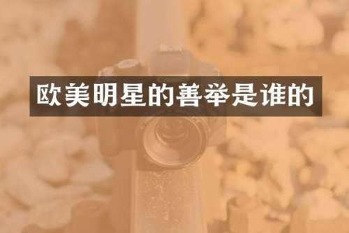 欧美明星的善举是谁的