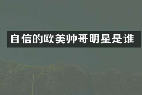 自信的欧美帅哥明星是谁