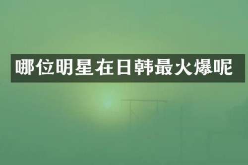 哪位明星在日韩最火爆呢