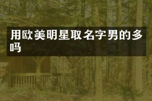 用欧美明星取名字男的多吗