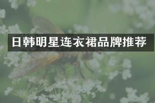 日韩明星连衣裙品牌推荐