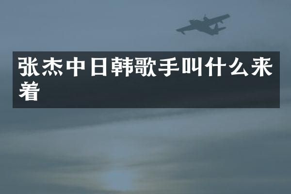 张杰中日韩歌手叫什么来着