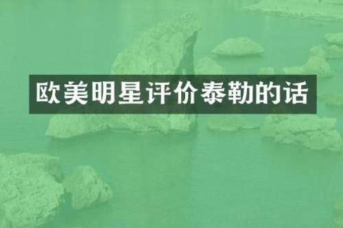 欧美明星评价泰勒的话