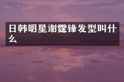 日韩明星谢霆锋发型叫什么