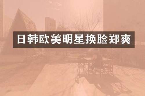 日韩欧美明星换脸郑爽