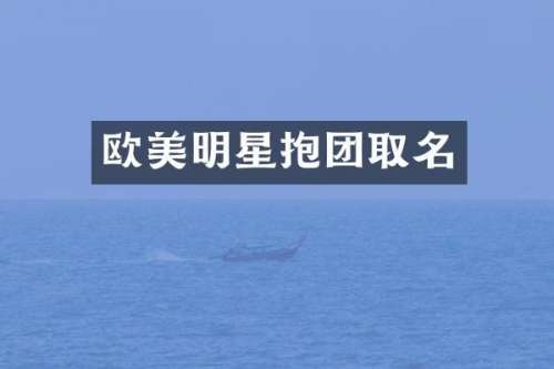 欧美明星抱团取名