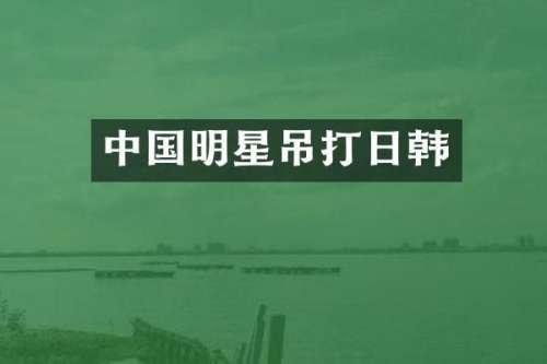 中国明星吊打日韩