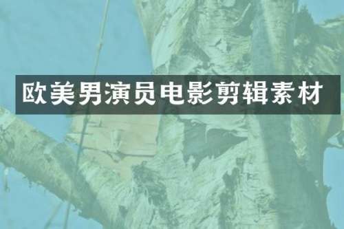欧美男演员电影剪辑素材
