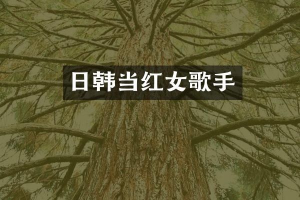日韩当红女歌手