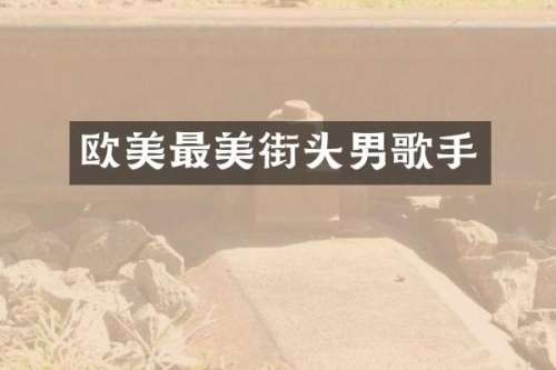 欧美最美街头男歌手