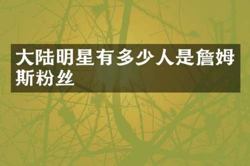 大陆明星有多少人是詹姆斯粉丝