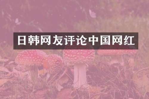 日韩网友评论中国网红
