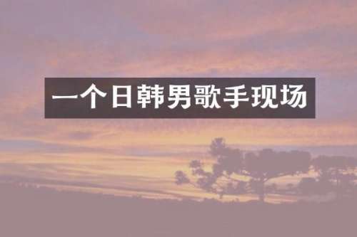 一个日韩男歌手现场