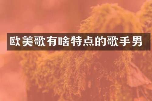 欧美歌有啥特点的歌手男
