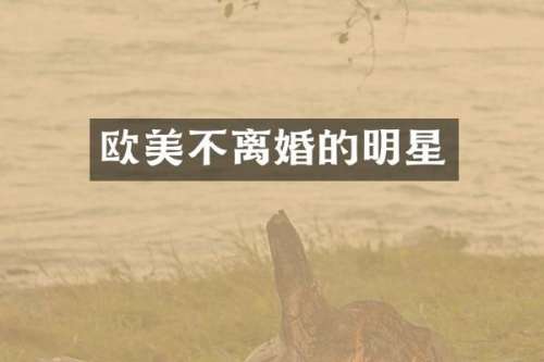 欧美不离婚的明星