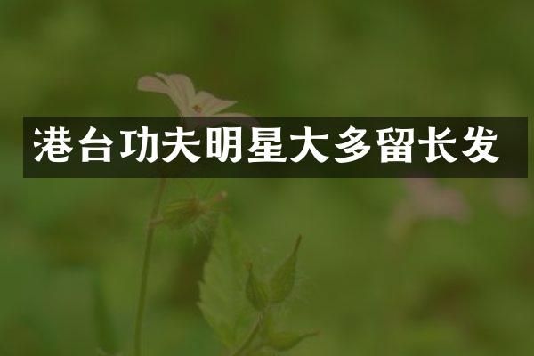 港台功夫明星大多留长发