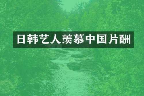 日韩艺人羡慕中国片酬