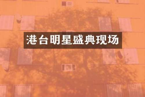 港台明星盛典现场