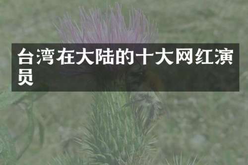 台湾在大陆的十大网红演员