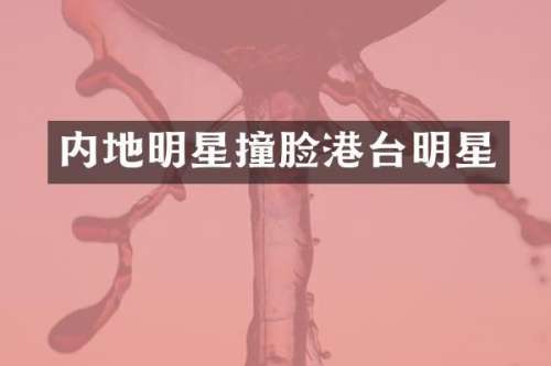 内地明星撞脸港台明星
