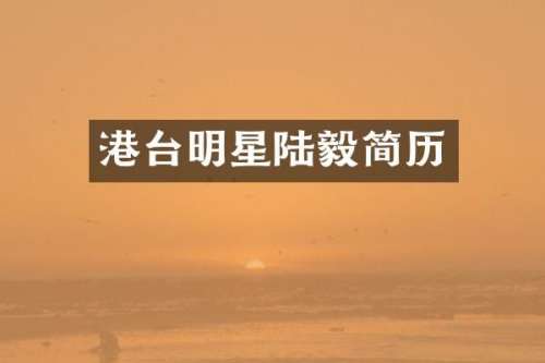 港台明星陆毅简历