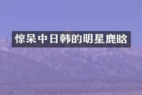 惊呆中日韩的明星鹿晗
