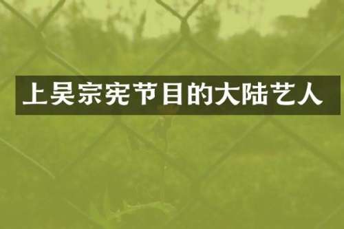 上吴宗宪节目的大陆艺人