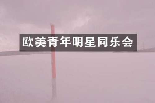 欧美青年明星同乐会