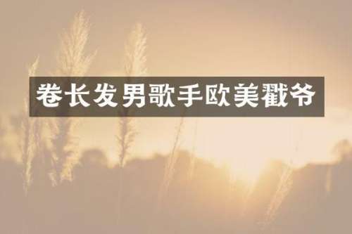 卷长发男歌手欧美戳爷
