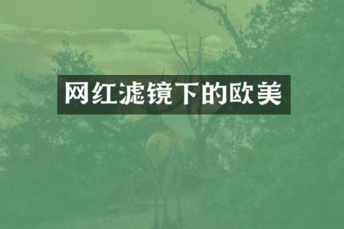 网红滤镜下的欧美