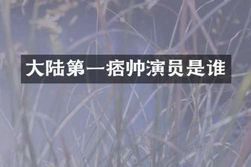 大陆第一痞帅演员是谁