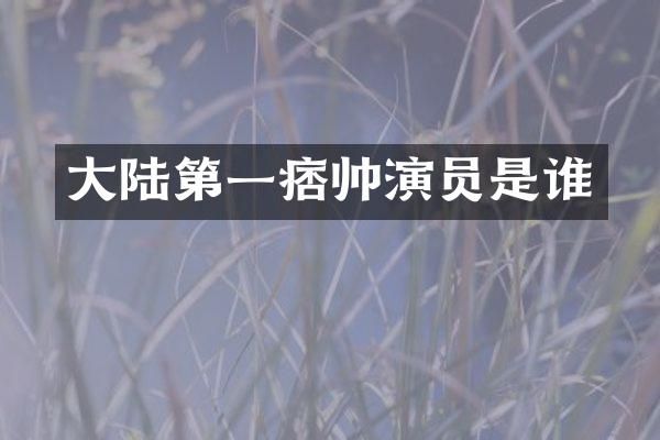 大陆第一痞帅演员是谁