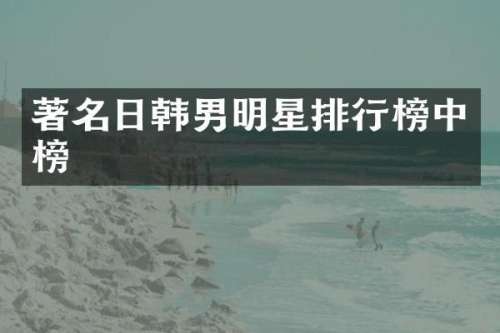 著名日韩男明星排行榜中榜
