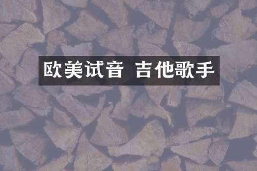 欧美试音 吉他歌手