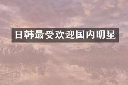 日韩最受欢迎国内明星