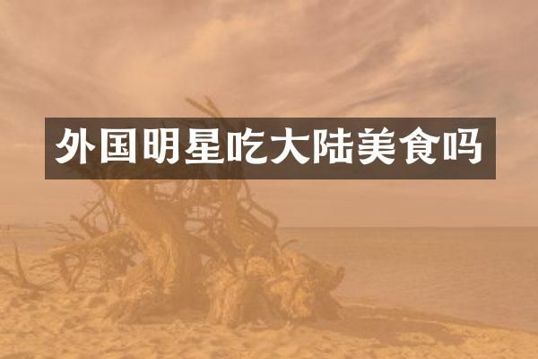 外国明星吃大陆美食吗