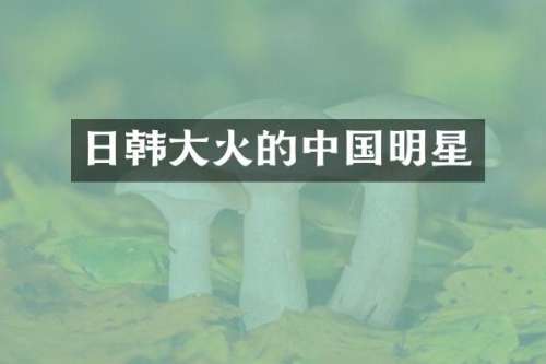 日韩大火的中国明星