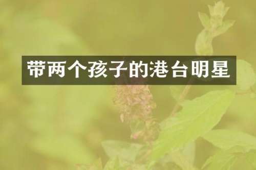 带两个孩子的港台明星