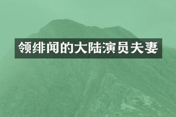 领绯闻的大陆演员夫妻