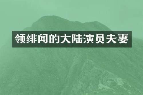 领绯闻的大陆演员夫妻