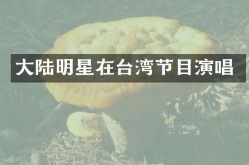 大陆明星在台湾节目演唱